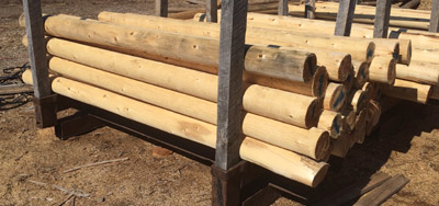 Cedar fence posts