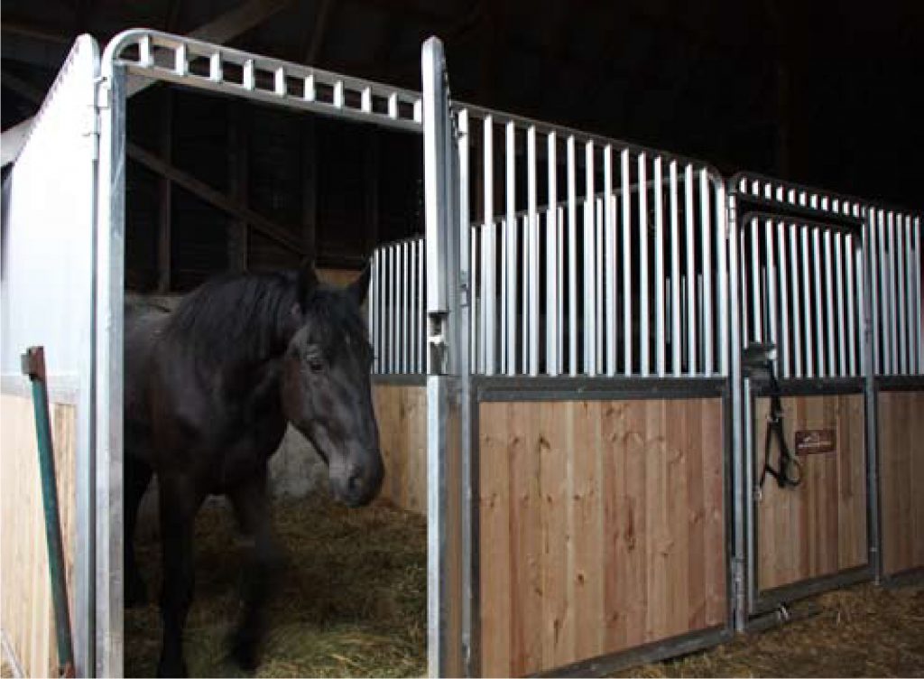 Eberstall Horse Stall