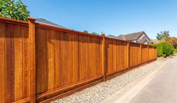 Backyard wood privacy fence